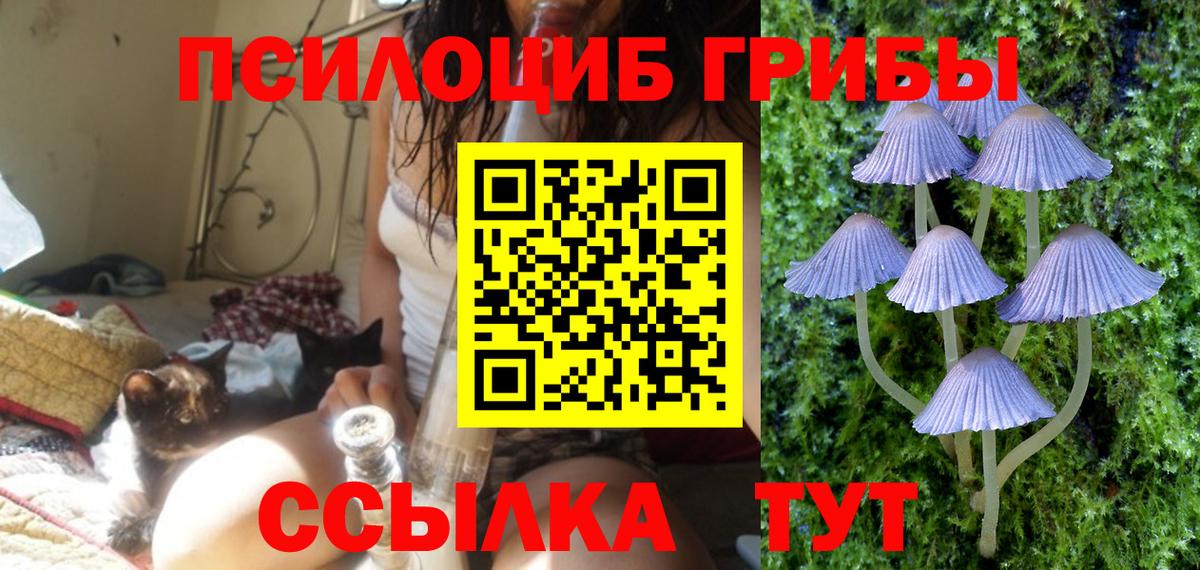 Белебей  Псилоцибиновые грибы MAGIC MUSHROOMS  Вход с VPN  Псилоцибиновые грибы Cubensis 
